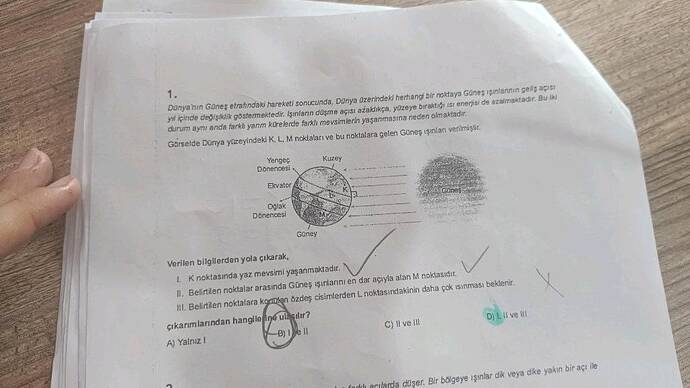 Soru Görseli