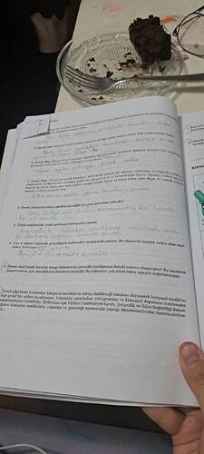 17597725856349022455253298091141