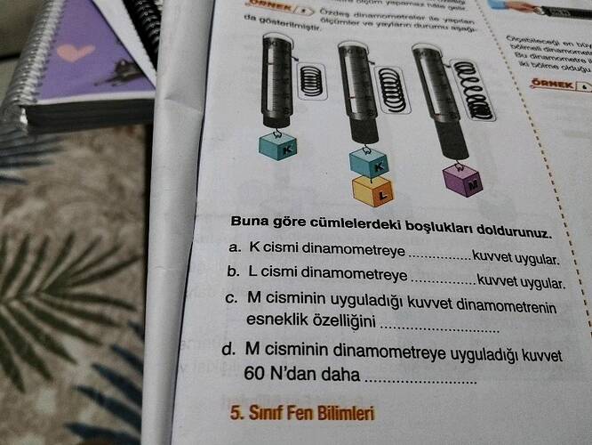 Buna göre cümlelerdeki boşlukları doldurunuz.