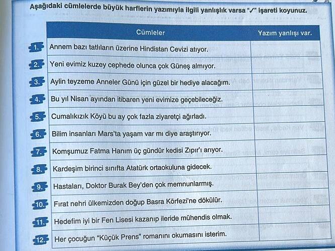 Aşağıdaki cümlelerde büyük harflerin yazımıyla ilgill yanlışlık varsa "/ işareti koyunuz.