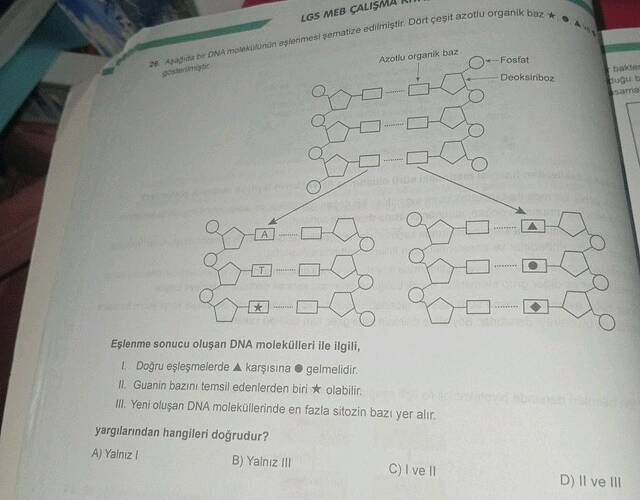 Apage bir DA molektonun eslemesi sematize edirniştir Dort çest razotlu organik baz...