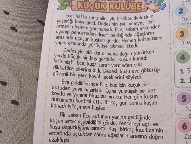 ana fikri nedir