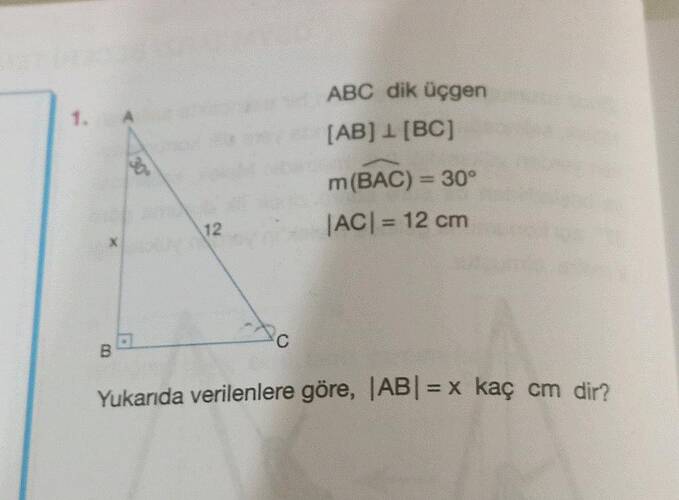 12 ABC dik üçgen L m (BAC) = 30 Yukanda verilenlere göre,