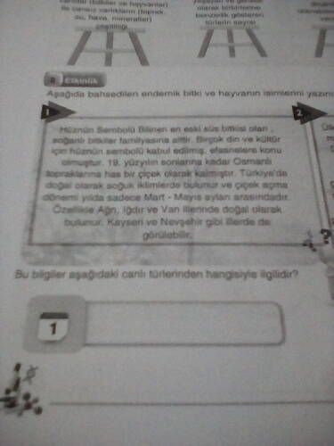 17709159147386165295003227705641