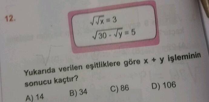 Soru Görseli