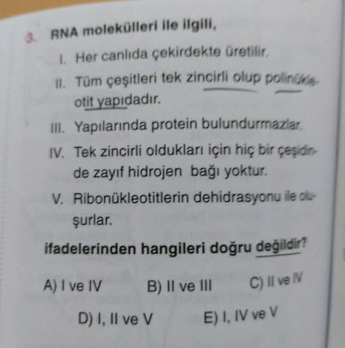 RNA molekülleri ile ilgili, I.