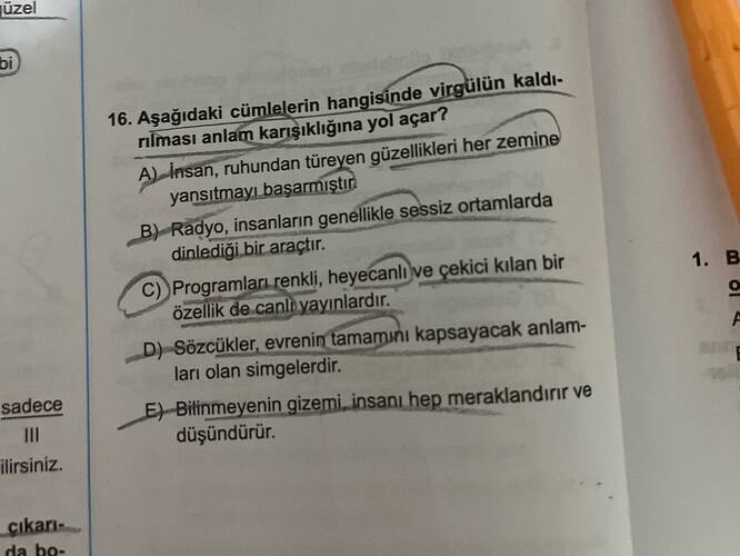 Soru Görseli