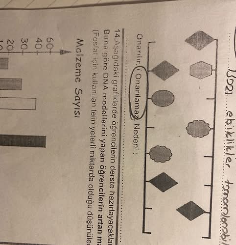 Aşağıdaki grafiklerde öğrencilerin derste hazırlayacakları DNA modellerini yapan...
