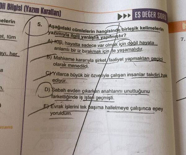 Dil Bilgisi (Vazım Kurallan) aelerin et tüm ES DEGER SOP 5.