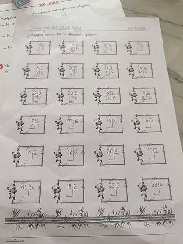 17727178328951576064417199084526