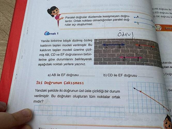 Örnek 1 Yanda birbirine bitişik dizilmiş özdeş kaldırım taşları modeli verilmiştir.