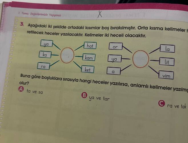 L Tema Dejerlerimile Yapgoruz 3.