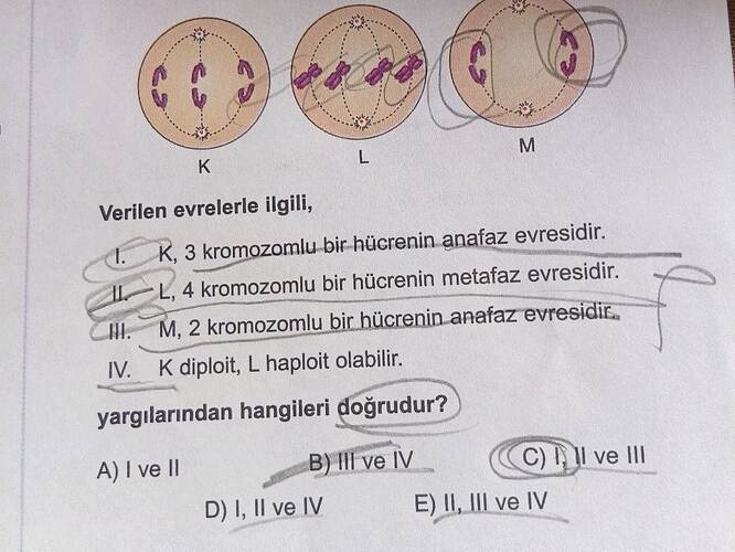 Soru Görseli
