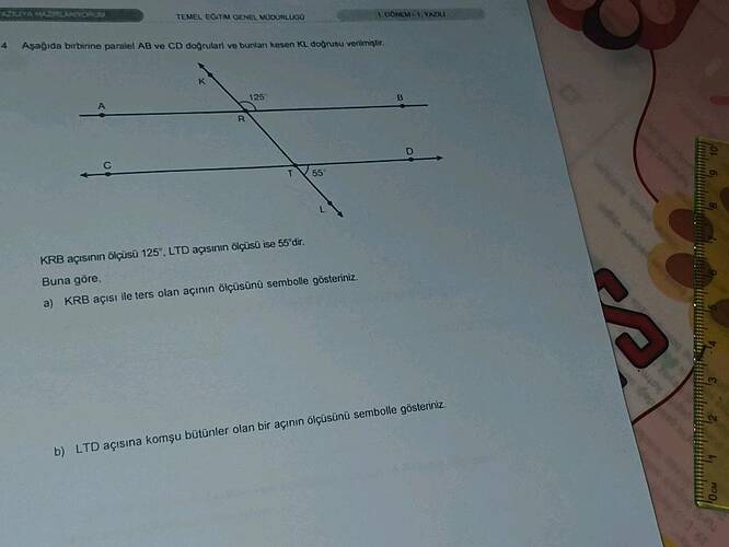 Aşağıda birbirine paralel AB ve CD doğruları ve bunları kesen KL doğrusu verilmiştir.