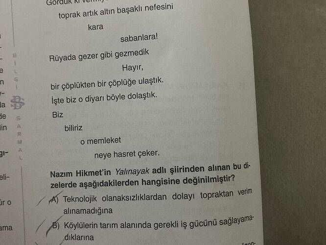 Soru Görseli