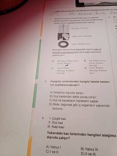 17289243675136349270109823175875