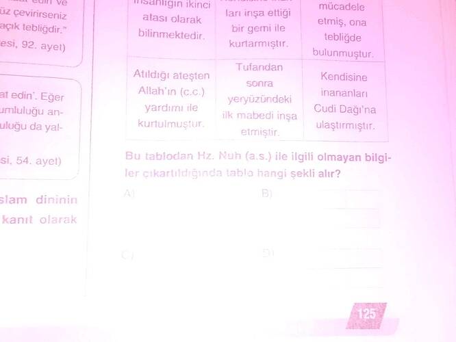 Soru Görseli