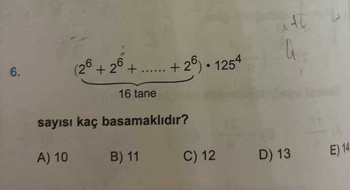 (2°+ 2°+....+ 29)• 125 16 tane sayısı kaç basamaklıdır?