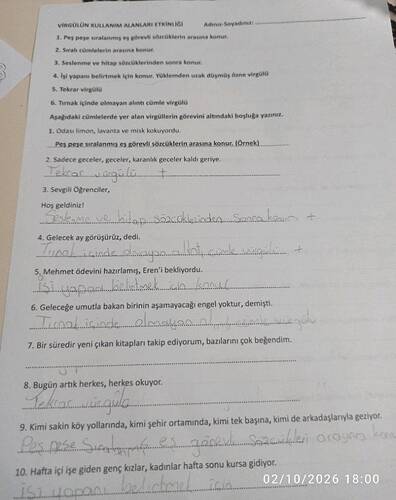 VİRGÜLÜN KULLANIM ALANLARI ETKİNLİĞİ Adınız-Soyadınız: 1.