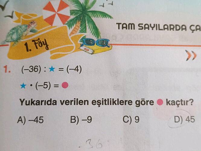 Soru Görseli