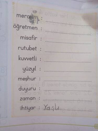 17308133965454008258772987029971