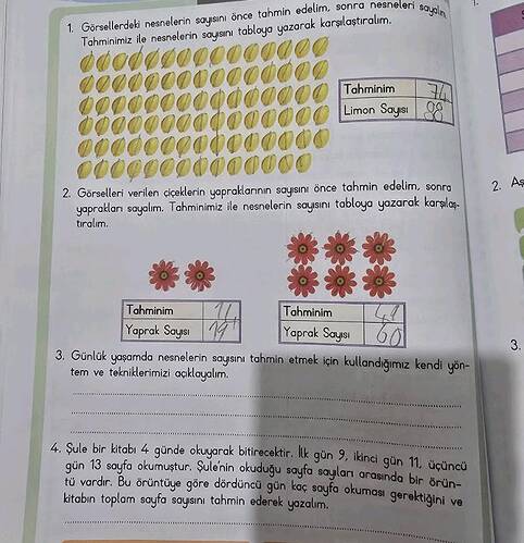 Görsellerdeki nesnelerin sQuisınI önce tahmin edelim, sonra nesneleri o lahminimiz ile...