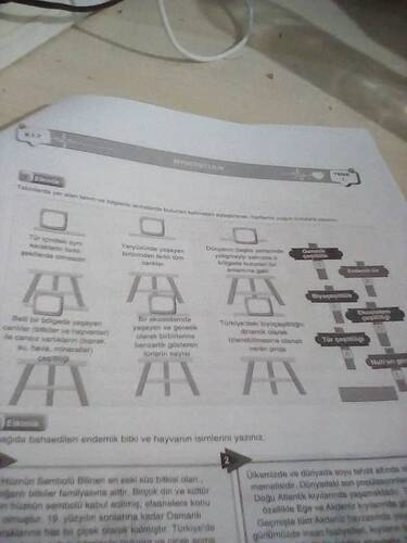 17709154559351887053125299896352