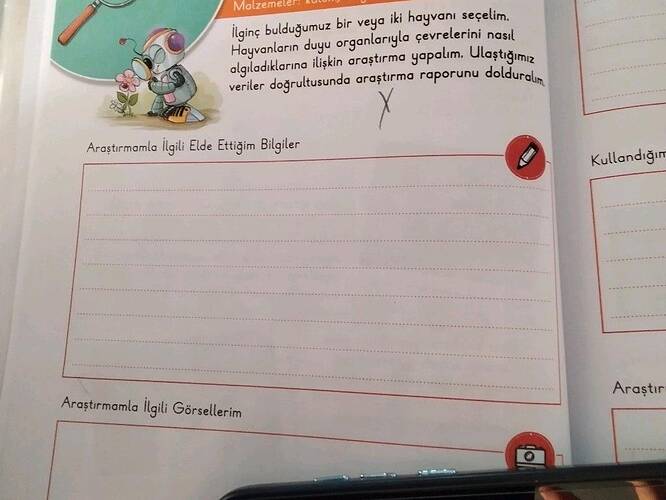 Molzemel llginç bulduğumuz bir veya iki hayvanı seçelim.