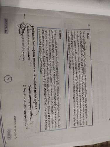 17459532843537841199712590866483