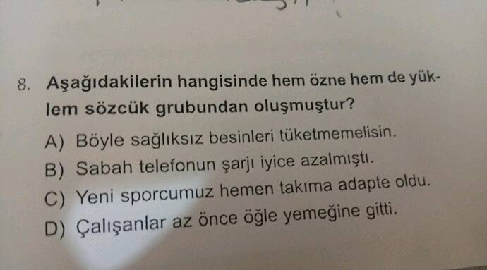 Aşağıdakilerin hangisinde hem özne hem de yüklem sözcük grubundan oluşmuştur?