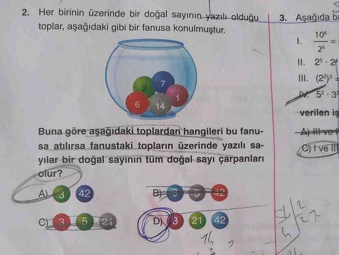 Buna göre aşağıdaki toplardan hangileri bu fanusa atılırsa fanustaki topların üzerinde...