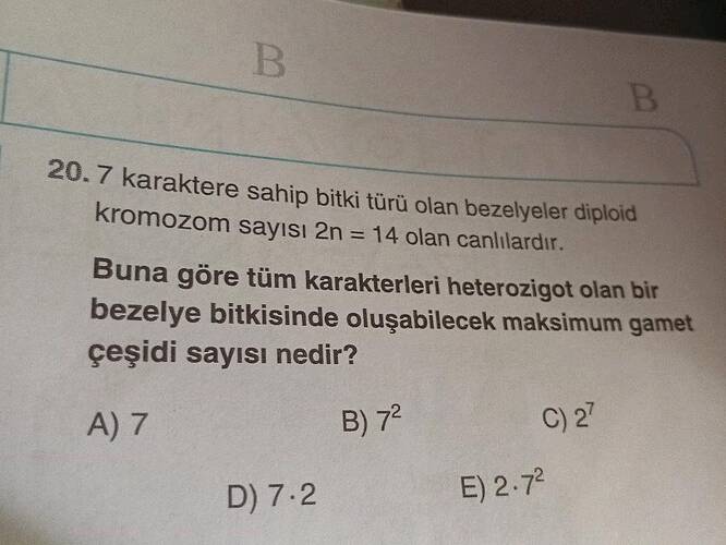 Soru Görseli
