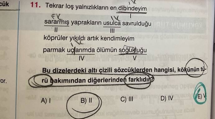 Tekrar loş yalnızlıkların en ditbindeyim sararřnış yaprakların usulca...