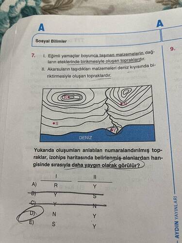 Soru Görseli
