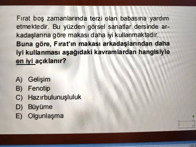 Soru Görseli