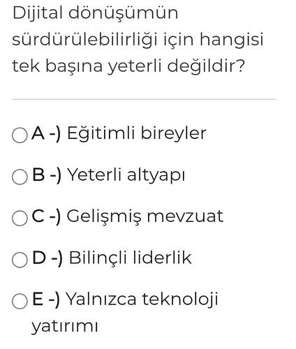 Soru Görseli