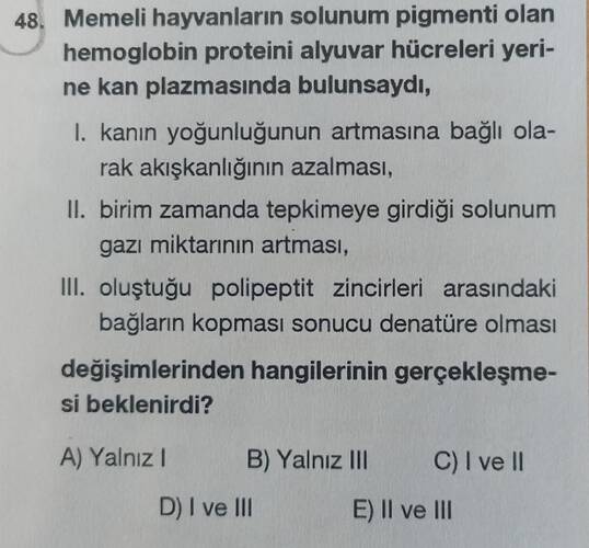 Soru Görseli