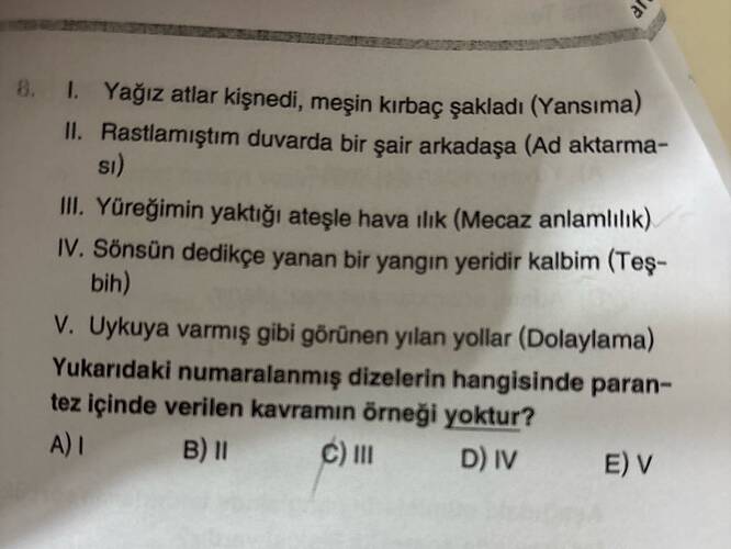 Yağız atlar kişnedi, meşin kırbaç şakladı (Yansıma) II.