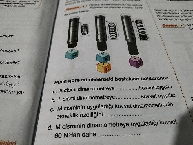 Buna göre cümlelerdeki boşlukları doldurunuz.