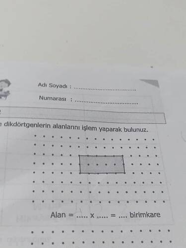 17470528084143745555794133480732