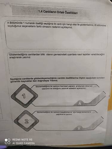 17328112094571627320004964058896