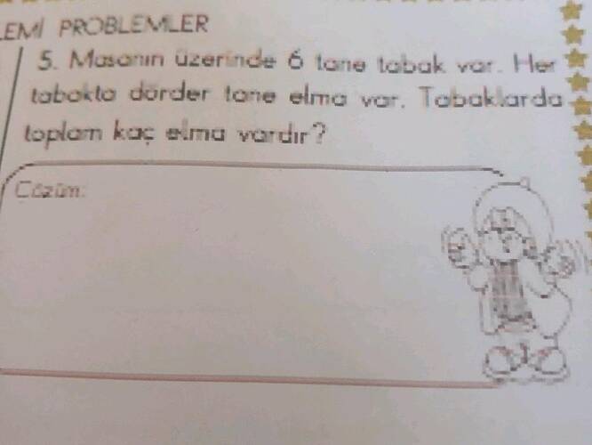 LEM PROBLEMLER 5.