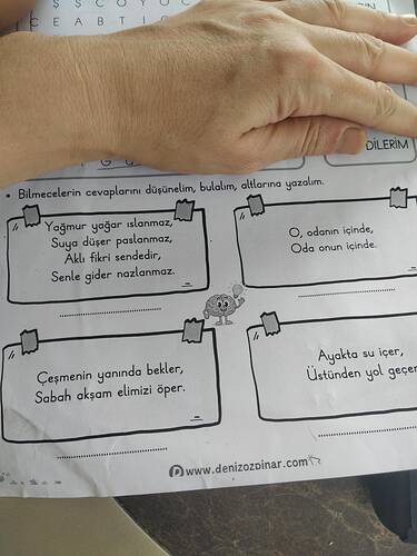 17625199587074325317081916569000