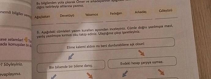 Bu bilgilerden yola çıkarak Ömer ve arkadaşlarının aşağıdaki kelimelerin türünü...