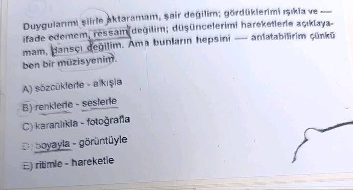 Soru Görseli