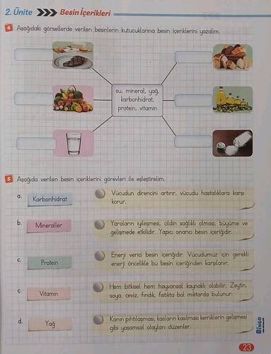 Ünite » Besin çerikleri 4 Aşoğıdaki qörsellerde verilen besinlerin kutucuklanına besin...