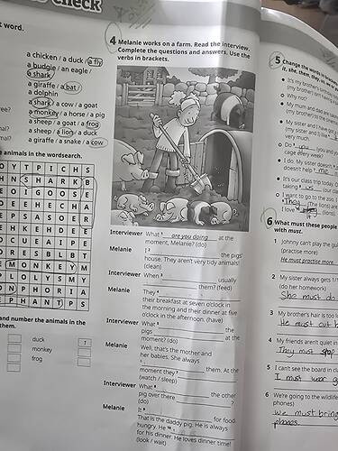 17645026881909210664233114615555