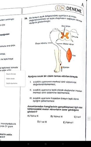 Screenshot_2025-04-20-23-58-24-674_cn.wps.moffice_eng