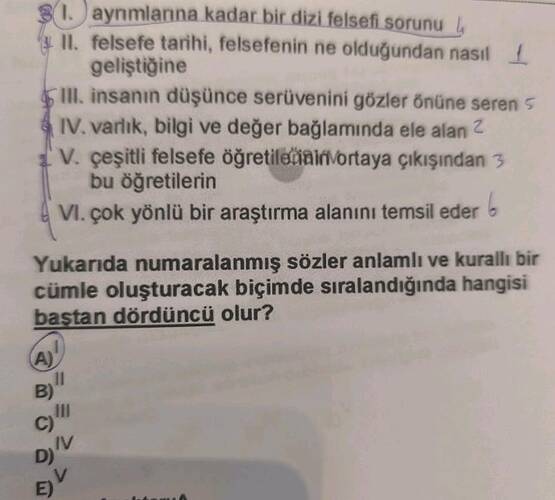 Soru Görseli