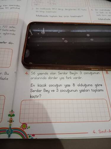 17302978739922533160619871799088